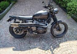 Triumph Scrambler (2006 - 17) usata