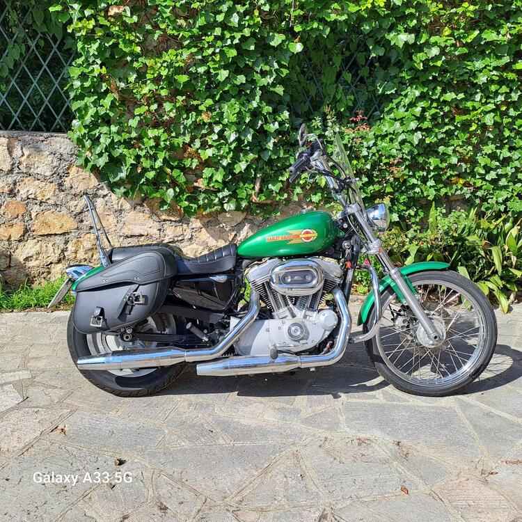 Harley-Davidson 883 Custom (2008 - 12) - XL 883C (4)