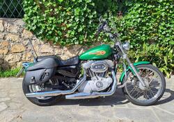 Harley-Davidson 883 Custom (2008 - 12) - XL 883C usata