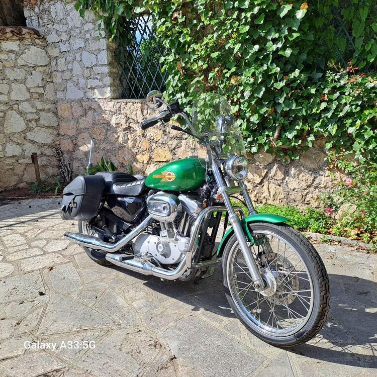 Harley-Davidson 883 Custom (2008 - 12) - XL 883C (5)