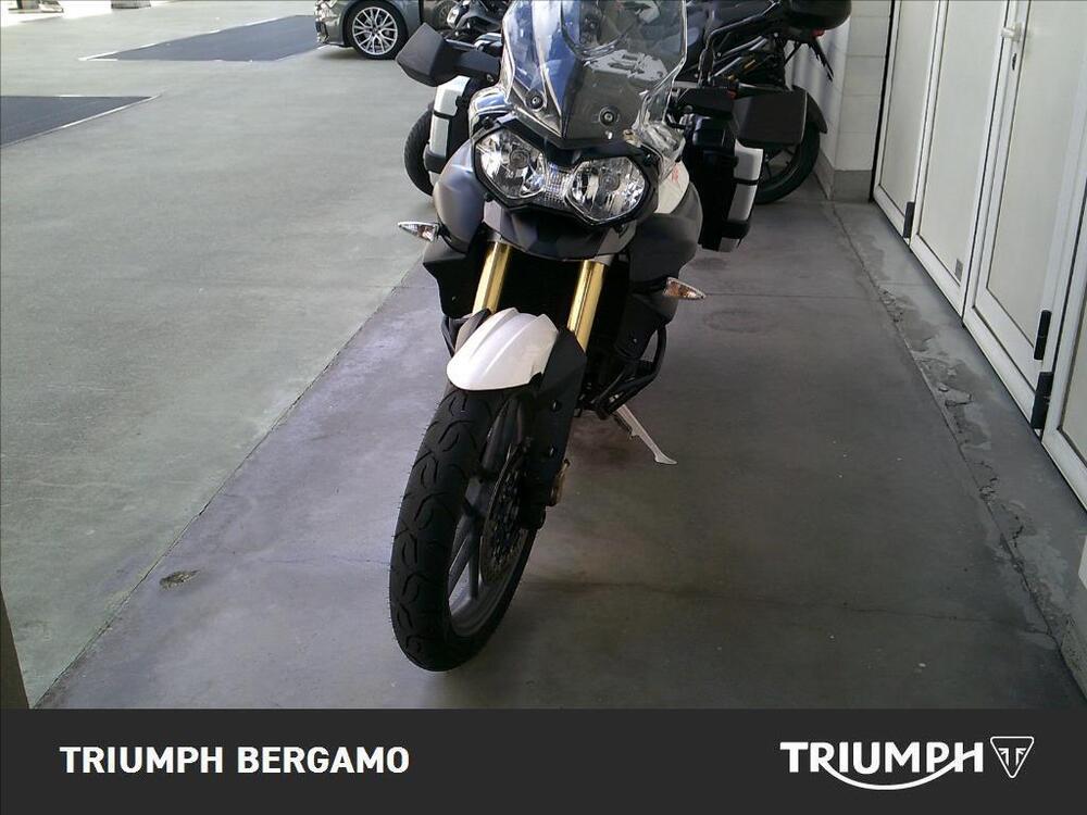 Triumph Tiger 800 ABS (2010 - 14) (5)