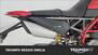 Ducati Hypermotard 950 RVE (2020) (19)