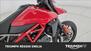 Ducati Hypermotard 950 RVE (2020) (20)