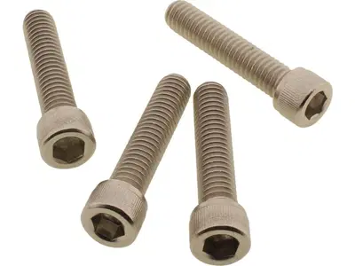 Viti parafango anteriore inox per Sportster Forty 