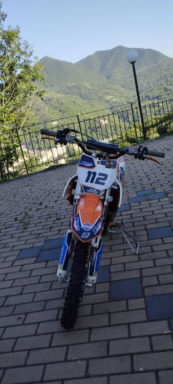 KTM SX 65 (2019) (4)