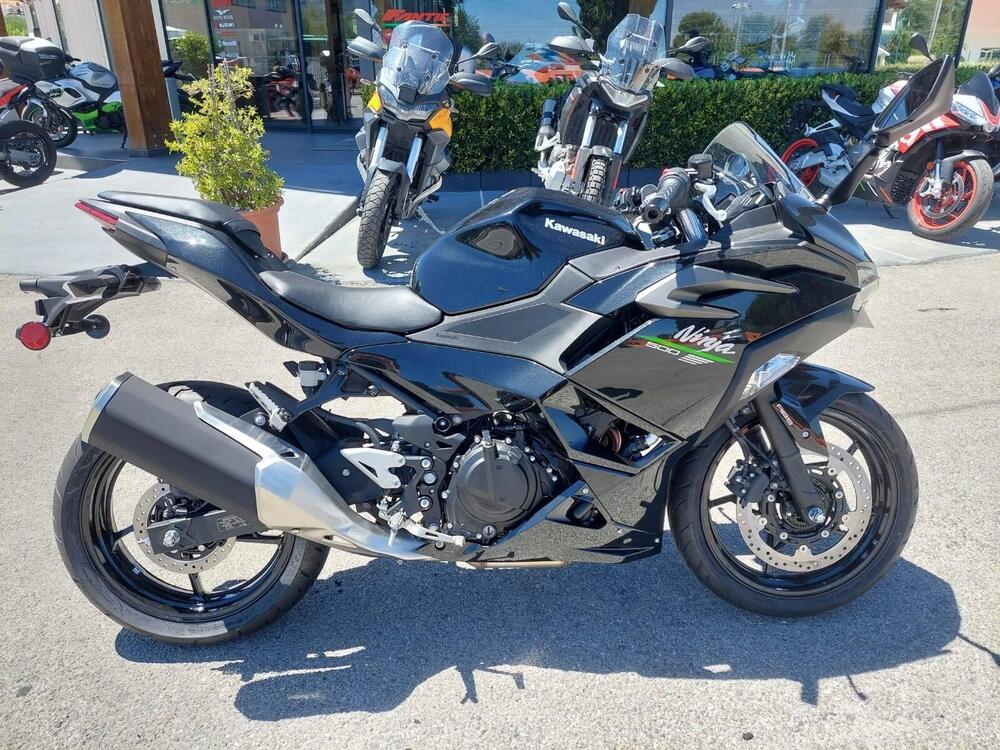 Kawasaki Ninja 500 (2024) (2)