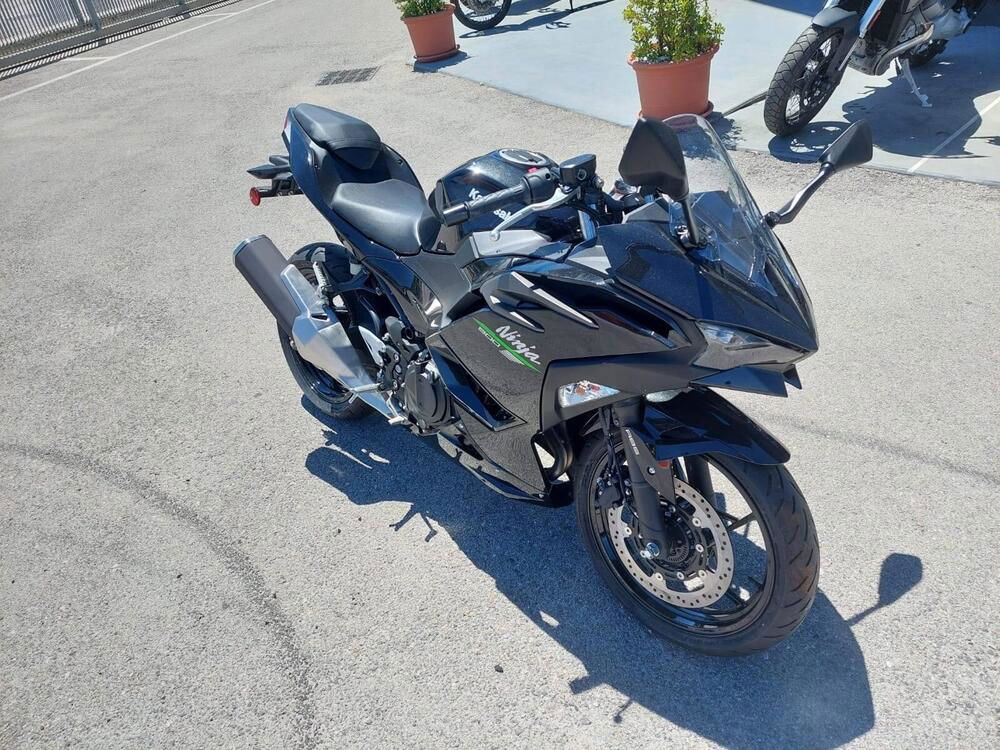 Kawasaki Ninja 500 (2024 - 25) (3)