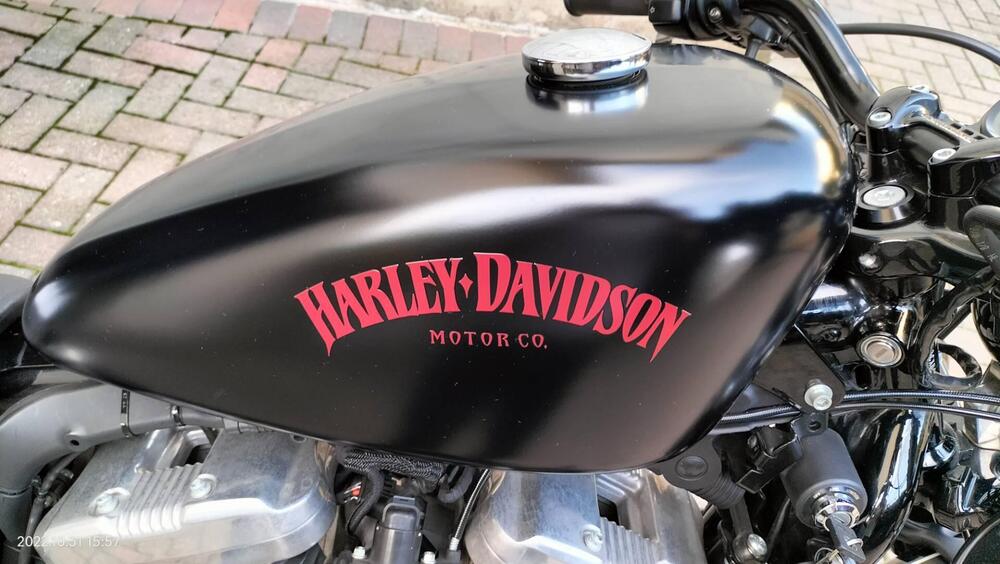 Harley-Davidson 1200 Forty-Eight (2010 - 15) (5)