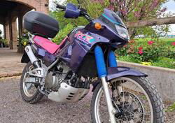 Kawasaki KLE 500 (1991 - 00) usata