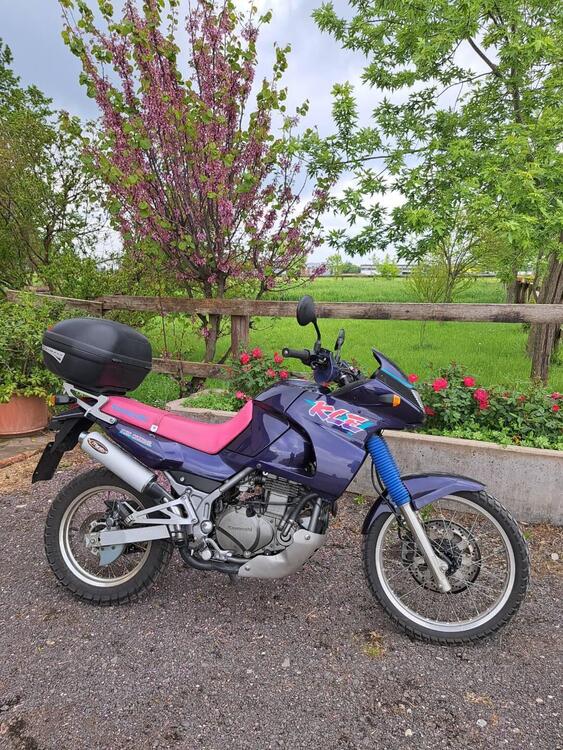 Kawasaki KLE 500 (1991 - 00) (3)