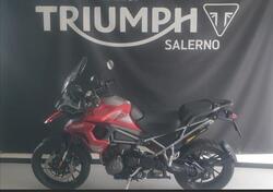 Triumph Tiger 1200 GT Pro (2024) usata