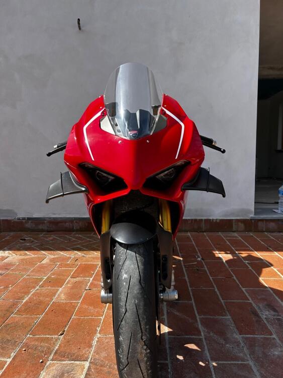 Ducati Panigale V4 R 1000 (2019 - 20) (3)