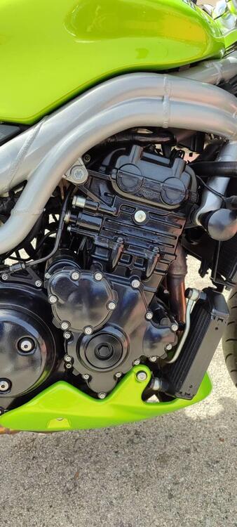 Triumph Speed Triple 955 (2002 - 04) (5)