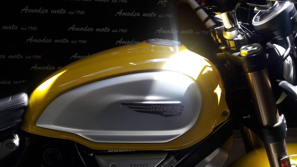 Ducati Scrambler 1100 (2018 - 20) (2)