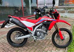 Honda CRF 300 L (2021 - 24) usata