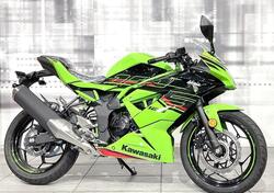 Kawasaki Ninja 125 (2021 - 24) nuova