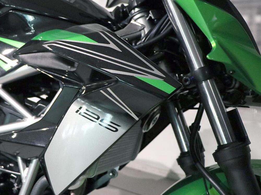 Kawasaki Z 125 (2021 - 24) (5)