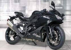 Kawasaki Ninja ZX-4R (2024) nuova