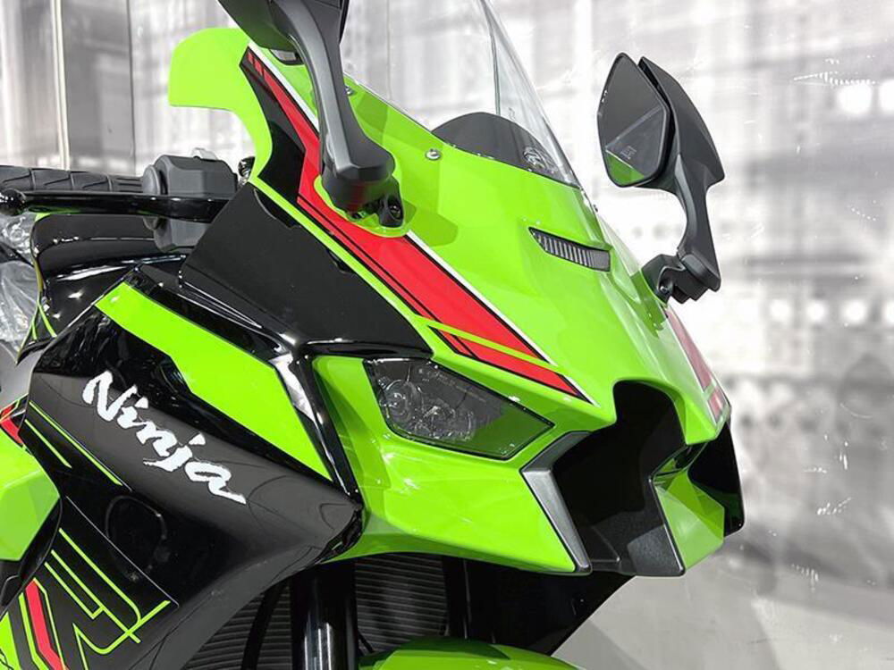 Kawasaki Ninja 1000 ZX-10R (2021 - 24) (3)