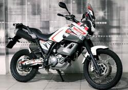 Yamaha XT 660 Z Ténéré (2008 - 16) usata