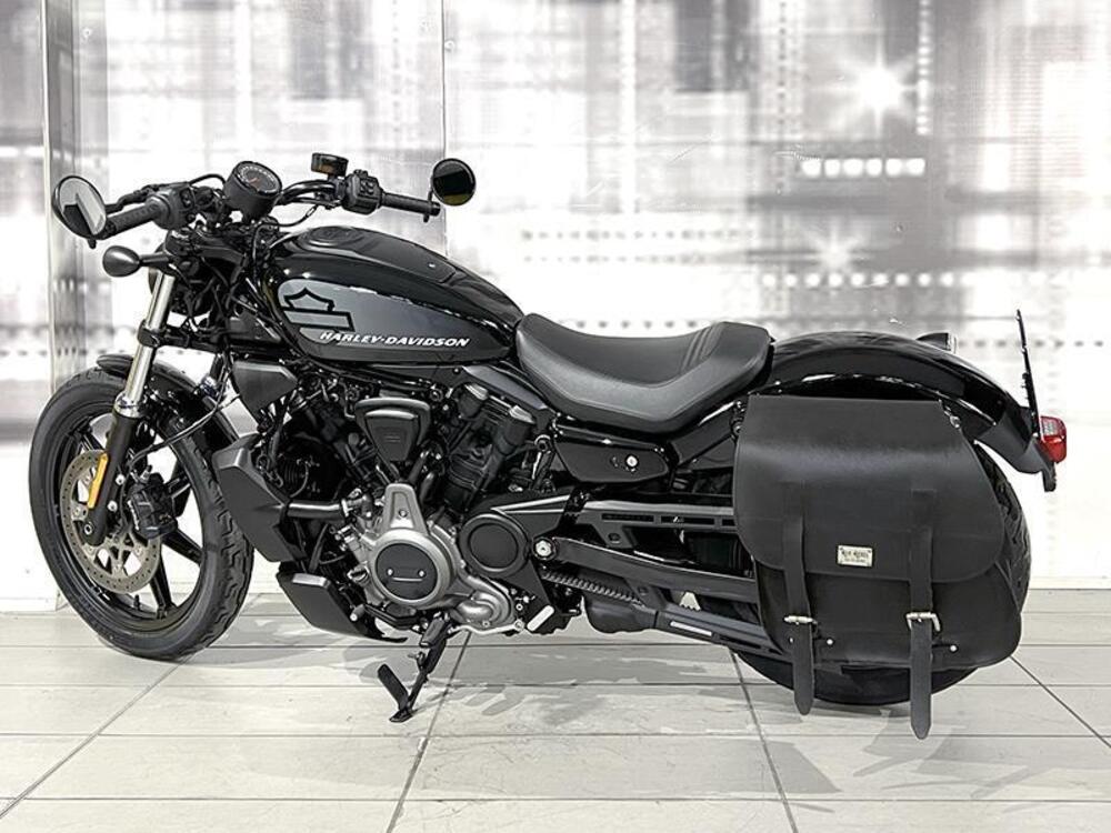 Harley-Davidson Nightster (2023 - 24) (2)