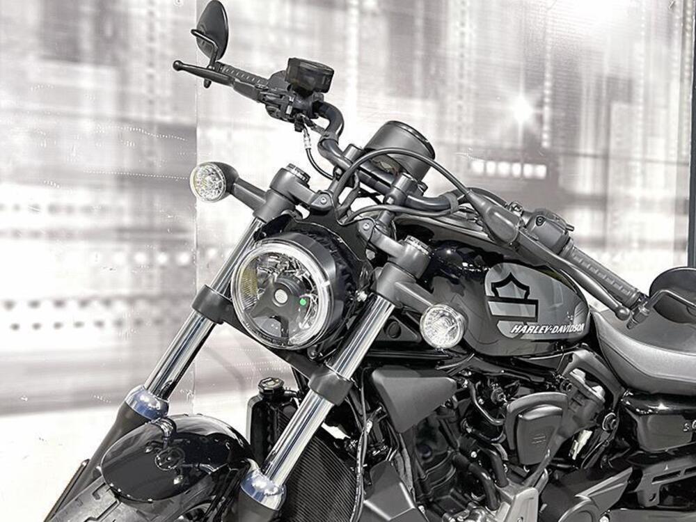 Harley-Davidson Nightster (2023 - 24) (4)