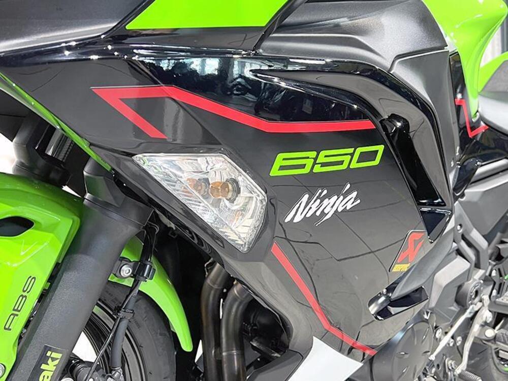 Kawasaki Ninja 650 Performance (2021 - 24) (4)