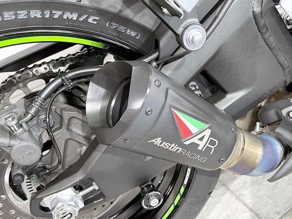 Kawasaki Ninja 1000 ZX-10R (2021 - 24) (4)