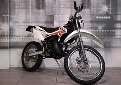 Betamotor RR 50 Enduro (2011 - 18) usata