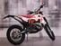 Betamotor RR 300 2T Enduro (2018) (8)