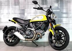 Ducati Scrambler 800 Icon (2017 - 2020) usata