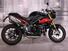 Triumph Speed Triple 1050 R ABS (2011 - 15) (8)