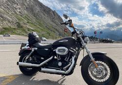 Harley-Davidson 1200 Custom CB (2013 - 17) - XL 1200CB usata