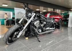 Harley-Davidson 1250 V-Rod Muscle (2009 - 17) - VRSCF usata