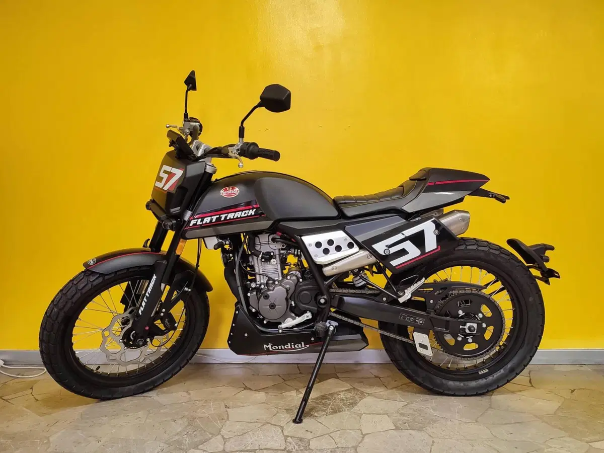 FB Mondial Flat Track 125 (2020 - 24) (2)