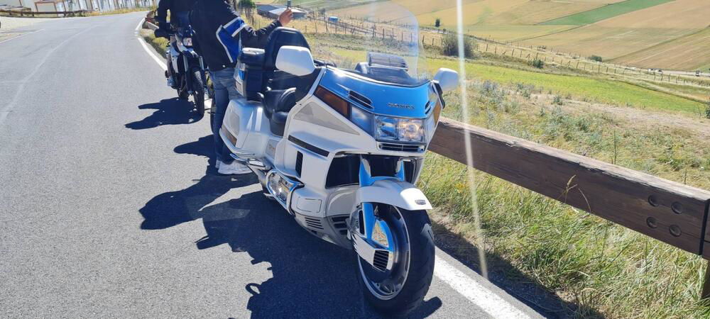 Honda GL 1500 SE Gold Wing (1991 - 02) (3)