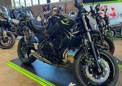 Kawasaki Z 650 (2021 - 24) nuova