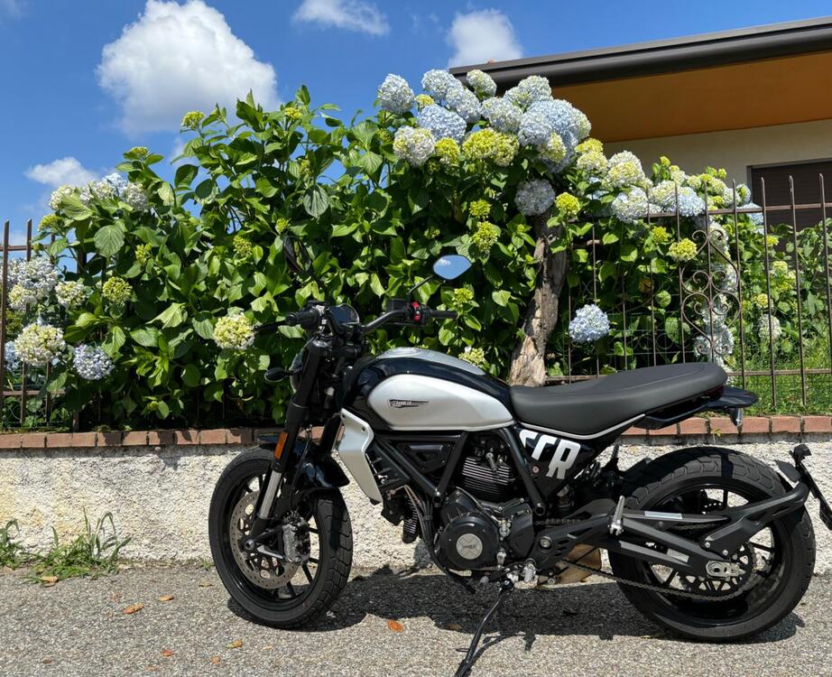 Ducati Scrambler 800 Icon (2023 - 25) (5)