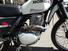 Honda XL 500S (16)