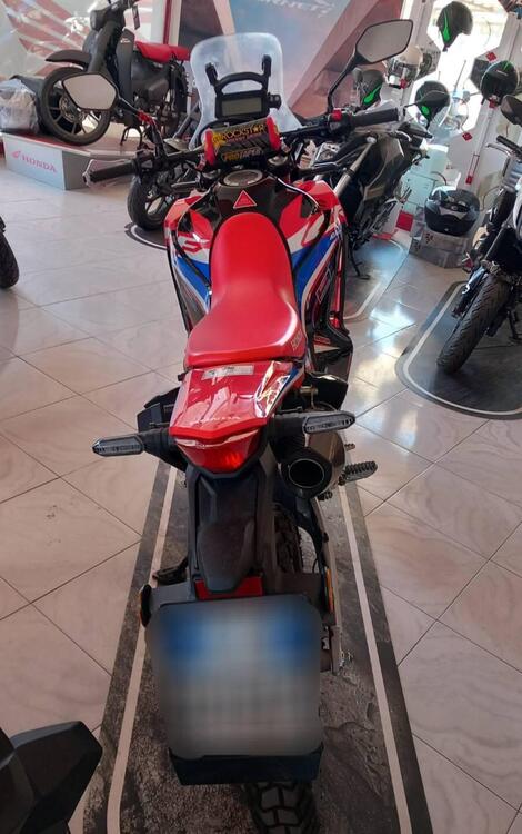 Honda CRF 300 Rally (2021 - 24) (3)