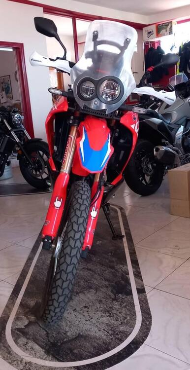 Honda CRF 300 Rally (2021 - 24) (2)