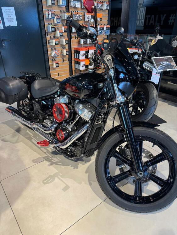 Harley-Davidson Softail Standard (2021 - 24)