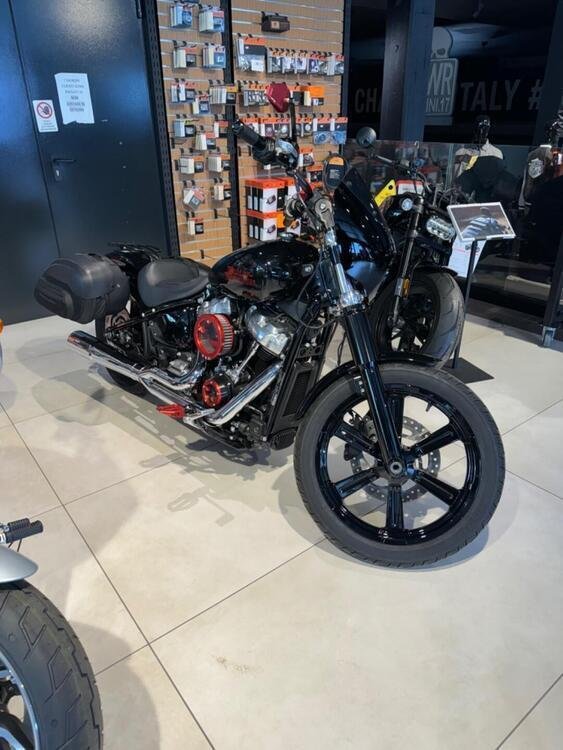 Harley-Davidson Softail Standard (2021 - 24) (3)
