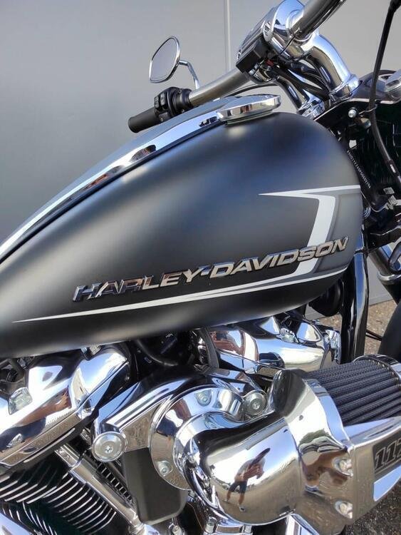 Harley-Davidson Breakout 117 (2023 - 24) (4)