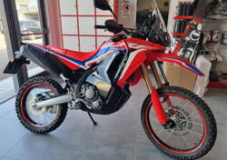 Honda CRF 300 Rally (2021 - 24) usata