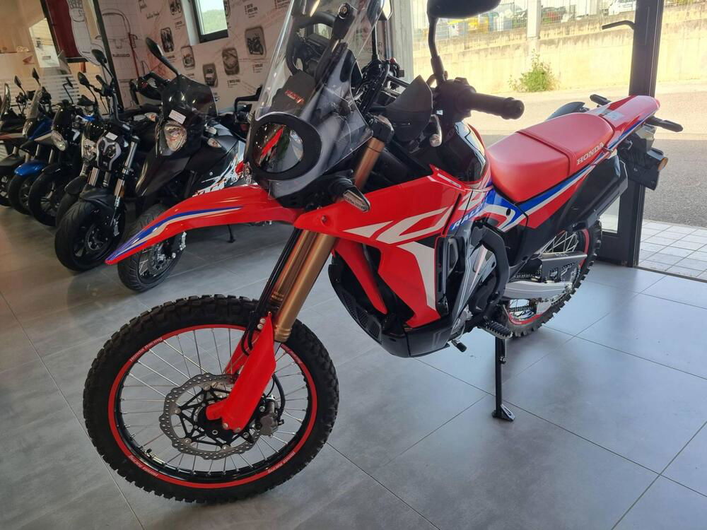 Honda CRF 300 Rally (2021 - 24) (3)