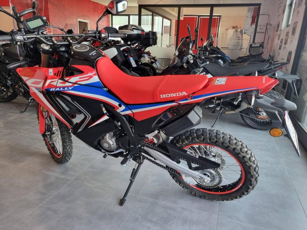 Honda CRF 300 Rally (2021 - 24) (4)