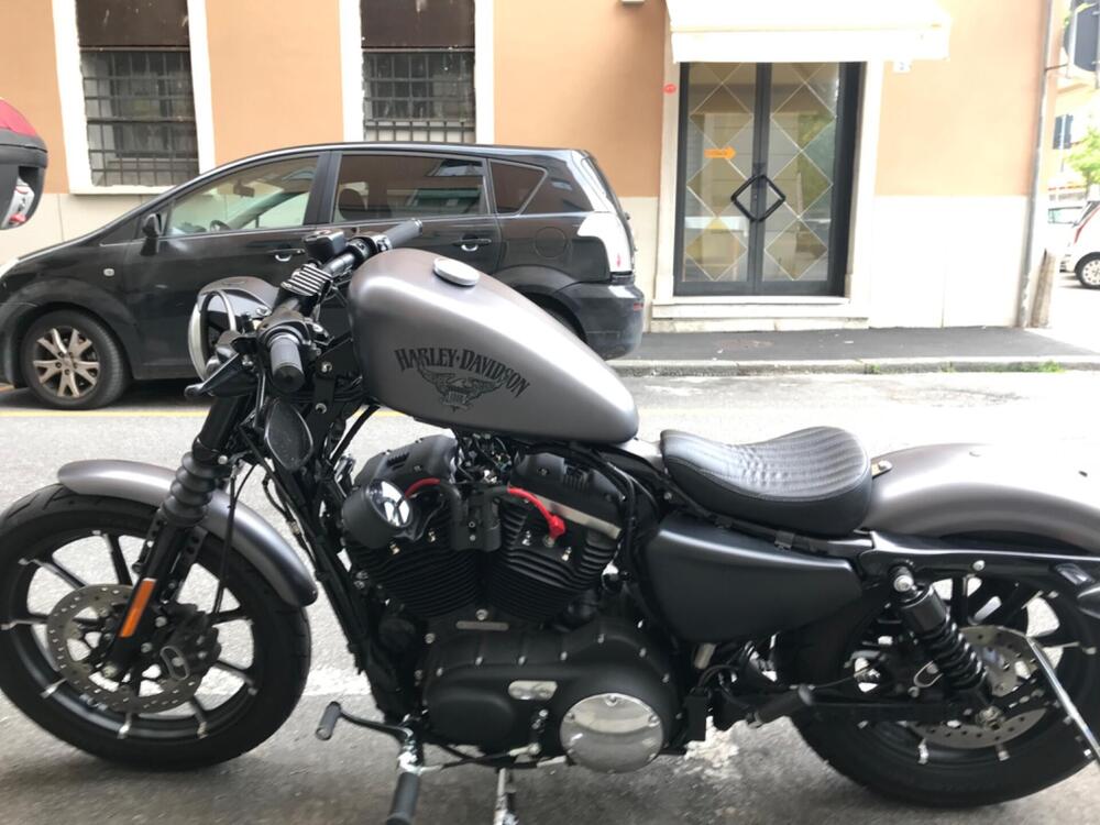 Harley-Davidson 883 Iron (2014 - 16) - XL 883N (3)