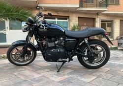 Triumph Bonneville (2007 - 16) usata