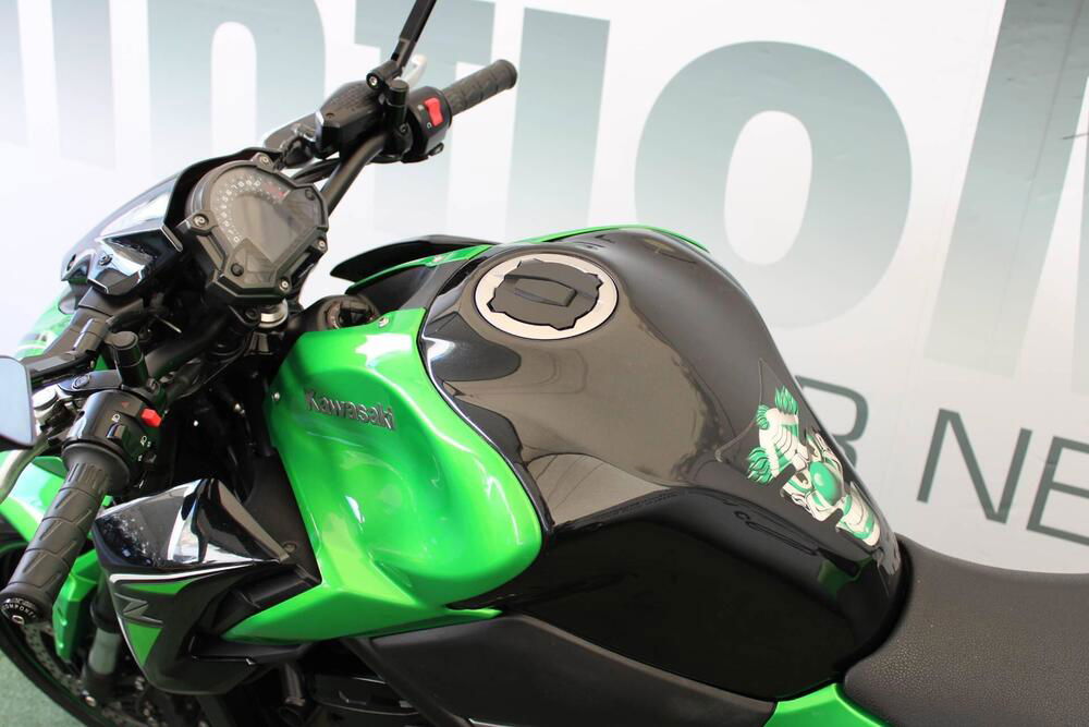 Kawasaki Z 900 (2017 - 18) (5)